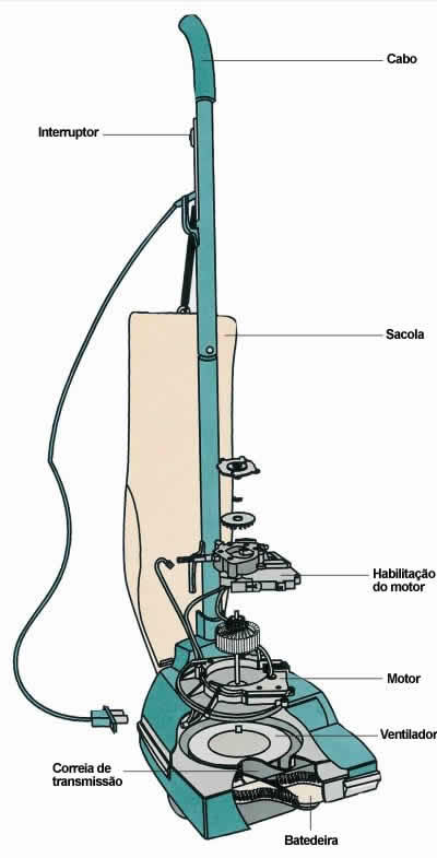 Cross section of an upright vacuum